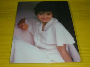 【】【南野陽子】【下敷き】【196-Ｅ】当時物新品