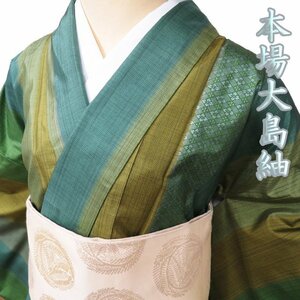 本場 大島紬 着物 中古 正絹 袷 カジュアル ラベル付き 縦段模様 花菱 緑系色 多色 身丈166cm 裄68.5cm L トール きもの北條 A984-3