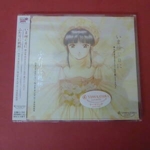 CD1-240305* Sakura Taisen?.. bride . day .| cover ... cup! CD