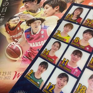 2021-2022 Wリーグ 富士通レッドウェーブ カタログ ファイル