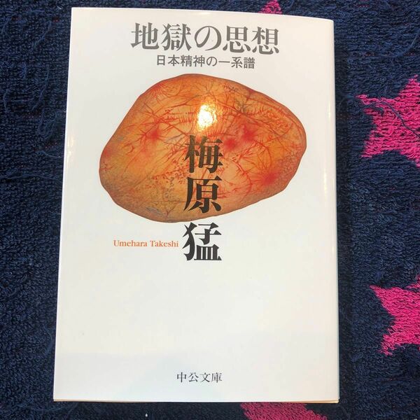 地獄の思想　日本精神の一系譜 （中公文庫　う１６－４） （改版） 梅原猛／著