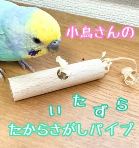 小鳥さんのいたずらパイプ★インコや文鳥の小鳥のハンドメイドおもちゃ　バードトイ　フォージング