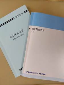 2023年度早稲田アカデミー大学受験部　教材【高2　英文法　Rクラス】　高2英文法Ⅱ 　後期