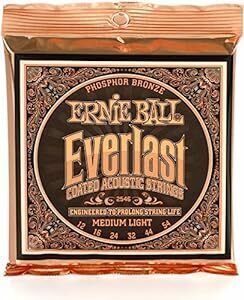 【正規品】 ERNIE BALL 2546 アコースティックギター弦 (12-54) EVERLAST COATED PHOSPH