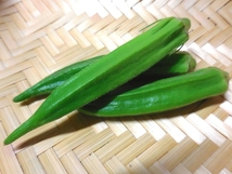 野菜嫌いお子様と 種から育てる 家庭菜園。