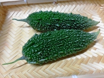 健康 夏野菜 沖縄 あばしゴーヤ ニガウリ。
