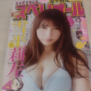 ビッグコミックスペリオール 2023年7月14日号 (小学館)雪平莉左