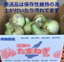 ＜スーパーセール＞淡路島産新玉ねぎ 3kg×2箱 高糖度 新たまねぎ 新玉葱 新タマネギ_画像3