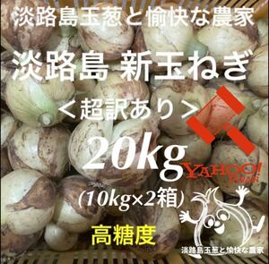 ＜超訳あり＞淡路島産新玉ねぎ たっぷり20kg 高糖度 新玉葱 新たまねぎ 新タマネギ