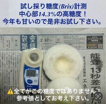 ＜訳あり＞淡路島産新玉ねぎ10kg 高糖度 新玉葱 新たまねぎ 新タマネギ_画像4