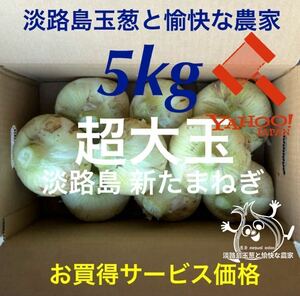 淡路島産新玉ねぎ 超大玉5kg 高糖度 新たまねぎ 新玉葱 新タマネギ