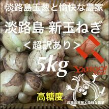 ＜超訳あり＞淡路島産新玉ねぎ5kg 高糖度 新玉葱 新たまねぎ 新タマネギ_画像1