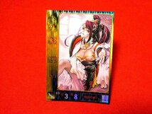 三国志大戦　TradingCard　キラカードトレカ　貂蝉　NO.139_画像1