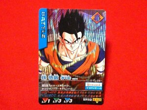 ドラゴンボール　データカードダス　DRAGONBALL　TradingCard　キラカードトレカ　孫悟飯　179-Ⅰ