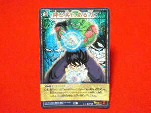 ドラゴンボール　カードゲーム　DRAGONBALL　CARDGAME　TradingCard　キラカードトレカ　師と共にある力　D-717