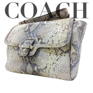 美品　coach コーチ　クラッチバッグ　セカンドバッグ　パイソン　型押し