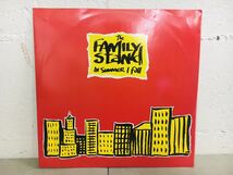 z0223-19 ★ レコード LP / the FAMILY STAND IN SUMMER I FALL / ヒップホップ / HIPHOP_画像1