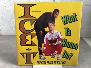 r0318-55★レコードLP / HIPHOP / ヒップホップ　/ ICE-T アイス-T What Ya Wanna Do