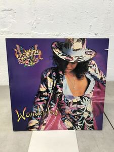 t0314-28☆ レコード LP RICK JAMES/WONDERFUL HipHop