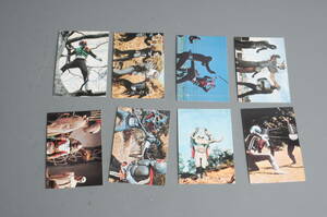 カルビー 1999 仮面ライダーチップス カード ライダーカード 8種 119、127、142、144、150、155、201、207