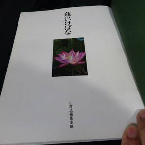 【小原流いけばな双書2 蓮のいけばな】書籍 財団法人小原流文化事業部 趣味 古本【B6-4②】0327の画像3