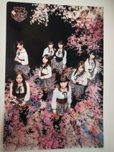 AKB48 サンデー付録　クリアファイル　シール_画像2