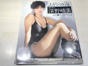 エデンの海　ぼくのもの。　深野晴美　写真集　1985年発行　送料300円　【a-5261/】