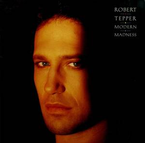 A00520663/LP/ロバート・テッパー(ROBERT TEPPER)「Modern Madness (1988年・C28Y-0346・AOR・ライトメロウ)」