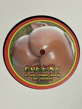 12'No Icecream Sound-Johnny Osbourne ジャングルMix 試聴アリ　レア　多数出品中_画像1