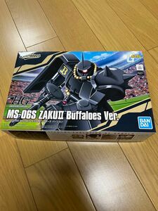 HG ガンプラ 未組立 バンダイ　機動戦士ガンダム　ザクII バファローズバージョン