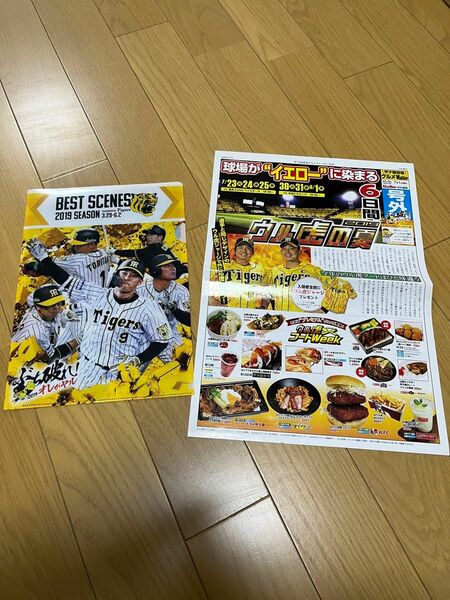 阪神タイガース　クリアファイル　2019season 甲子園グルメウォーカー号外2019年7月つき