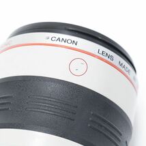 CANON キャノン ZOOM LENS EF 35-350mm f3.5-5.6 L USM ULTRASONIC 中古品_画像5