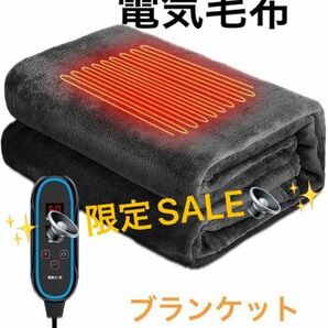 電気毛布 掛け 敷き 兼用 【LEDディスプレイ表示 20000mAhバッテリー付き】 三段階温度調節 タイマー付き