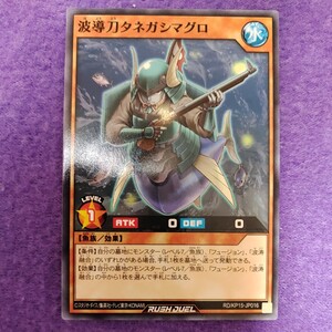 遊戯王 ラッシュデュエル 波導刀タネガシマグロ ノーマル RD/KP15-JP016