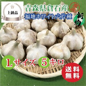 【上級品】青森県倉石産にんにく福地ホワイト六片種 Lサイズ 5kg