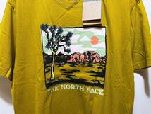 送料￥380 新品 日本未発売 正規品 USA限定 日本未発売 The North Face ノースフェイス US-XL グラフィックTシャツ GI TEE _画像2