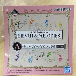 086 C-715/未開封 A賞 みつめて イーブイ ぬいぐるみ 「一番くじ Pokemon EIEVUI＆MELODIES」の画像3