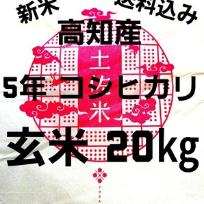 送料込み 令和5年産 高知県産 新米コシヒカリ 玄米20㎏(袋込み)