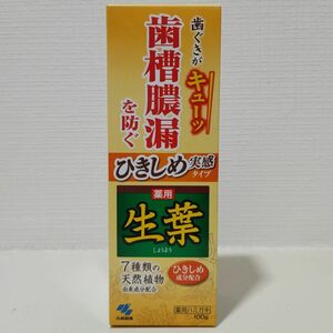 小林製薬 薬用生葉 ひきしめ実感タイプ 100g