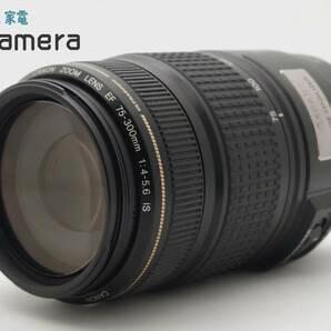 Canon EF 75-300ｍｍ F4-5.6 IS USM キャノン キャップ付き 美品の画像2