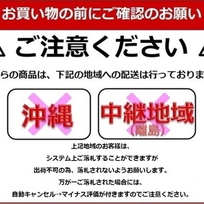 ［３年保証］ 台車（大） 300kg TS-3MBR  折りたたみ式台車 ハンドトラック 業務用 コンパクト 軽量静音 業務用台車 手押し台車の画像8