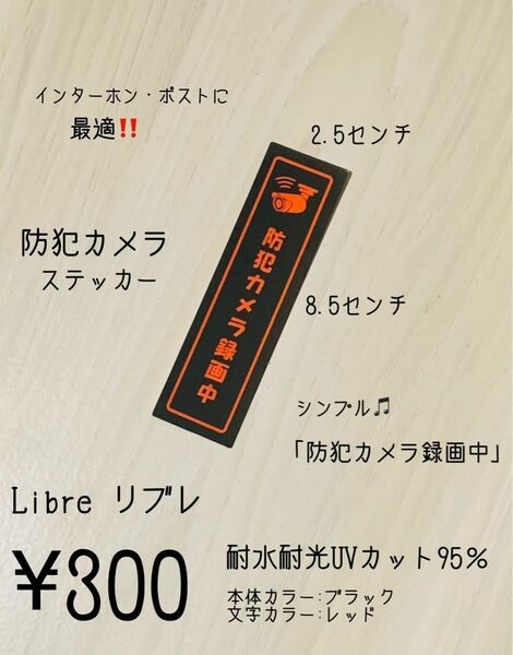 防犯カメラステッカー　シンプル♪ タテ向き　ブラック/レッド　ハンドメイド