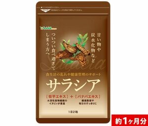 サラシア 1ヶ月分 シードコムス【食べる前にバリア】炭水化物 バナバエキス 菊芋エキス サラシア茶 ダイエット サラシノール