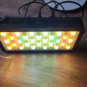 ブラックボックス LEDライト 珊瑚育成用の画像3