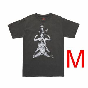 Red Hot Chili PeppersレッチリTotem Tee TシャツM
