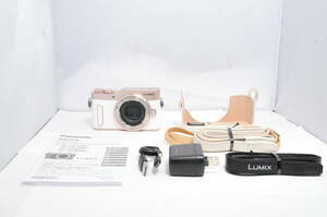 〓使用感なく非常に綺麗　付属品完備　ボディーケース付〓Panasonic パナソニック LUMIX DC-GF10 