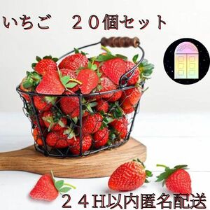 いちご　イチゴ　２０粒　フェイクフルーツ　赤　サンプル　食品　ハンドメイド　デコパーツ　ヘタ付き 本物そっくり ディスプレイ