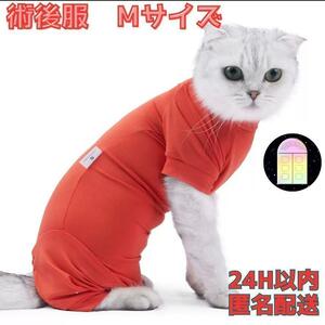 . after clothes Elizabeth wear M size cat .. cat limited amount skin protection scratch lick prevention Elizabeth collar. replacement new goods unused anonymity delivery 