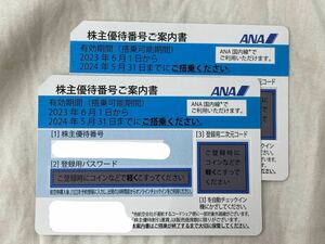 【番号通知】ANA 全日空 株主優待券 ブルー 青 1枚～ 有効期限:2024年5月31日 