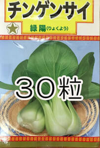 チンゲン菜　30粒　種　種子　　野菜　　家庭菜園